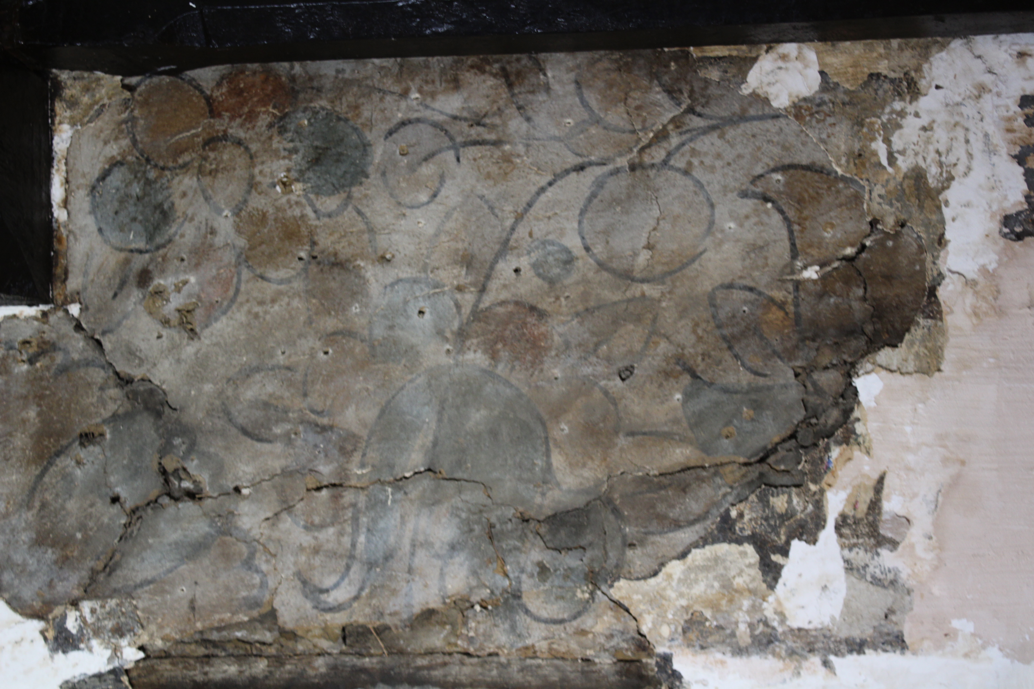 Bianca Madden | Stabilising Recently Discovered c.17th Domestic Wall Paintings